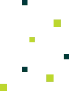 Detalhes que reforçam a marca Quadradinhos nas cores verdes